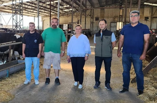ÇANAKKALE İL TARIM MÜDÜRLÜĞÜ’NDEN GELİBOLU'DAKİ ÇİFTLİKLERE ZİYARET