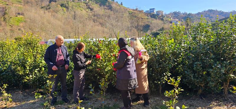 RİZE’DE KONTROLSÜZ FİDE VE FİDAN SATIŞINA SIKI DENETİM