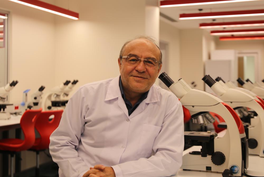 PESTİSİTLER, ARI NÜFUSUNU DA TEHDİT EDİYOR!