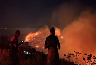 İzmir’in kuzeyinde orman yangını alarmı