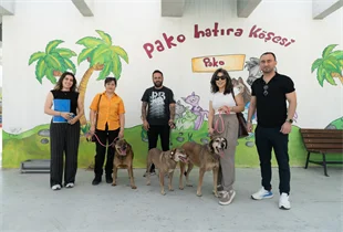 Bir proje, üç dost, hiç kopmayan bağ “Patili Dostlar İş Başında”