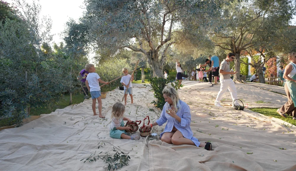 OLIVE FEST 2026, ANTALYA’DAN İSTANBUL’A UZANAN BİR DENEYİM YOLCULUĞUNA ÇIKIYOR